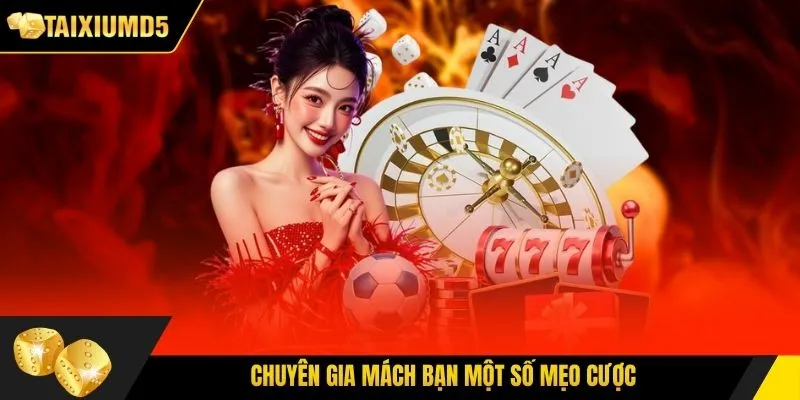 Chuyên gia mách bạn một số mẹo cược