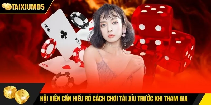 Hội viên cần hiểu rõ cách chơi tài xỉu trước khi tham gia
