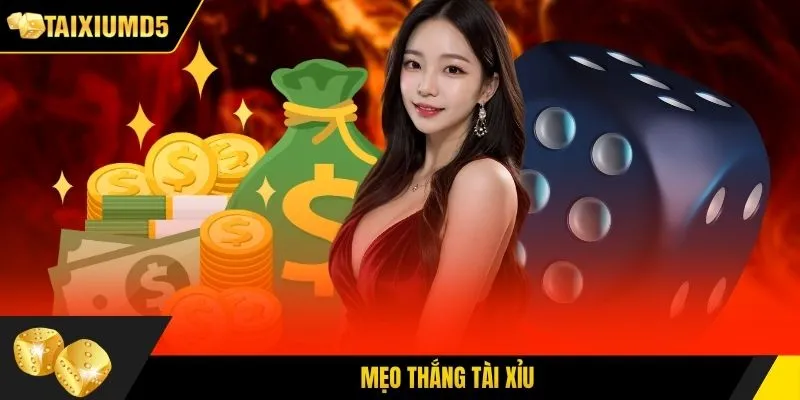 Mẹo Thắng Tài Xỉu MD5 Giúp Bạn Chinh Phục Mọi Ván Cược