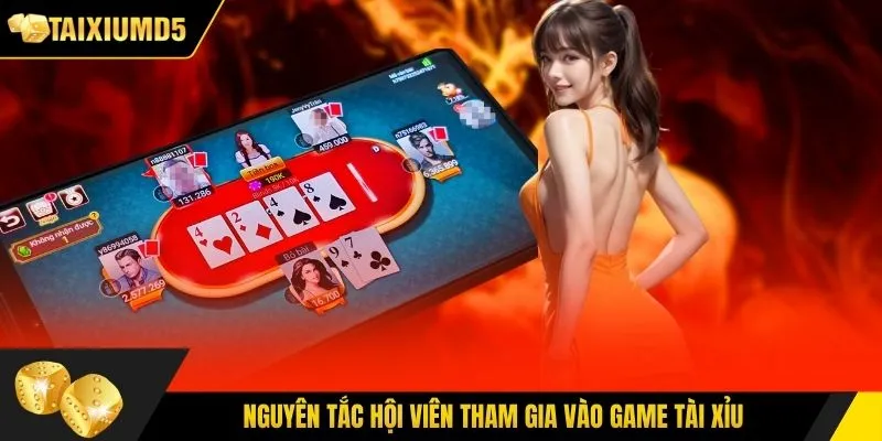 Nguyên tắc hội viên tham gia vào game tài xỉu