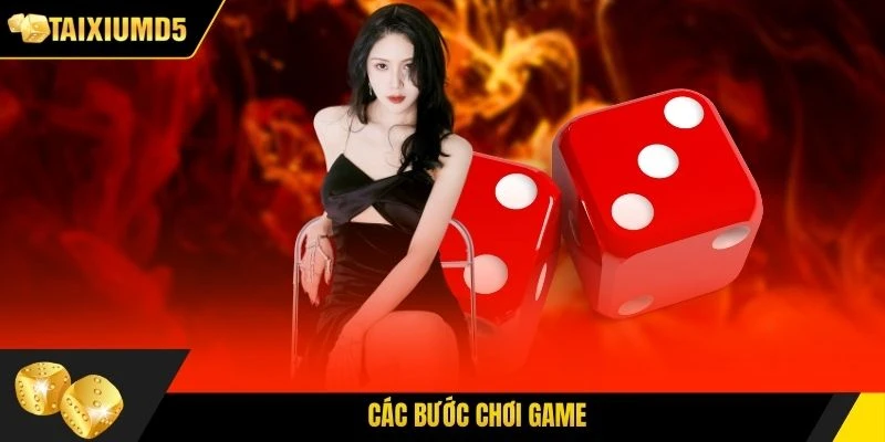 Các bước chơi game
