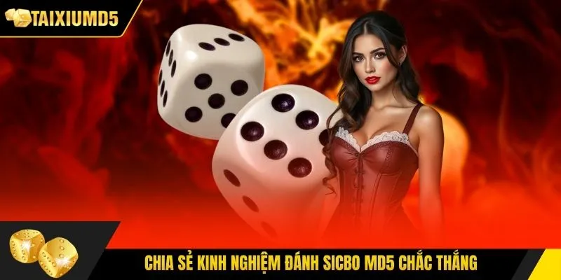 Chia sẻ kinh nghiệm đánh Sicbo MD5 chắc thắng