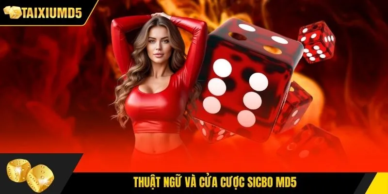 Thuật ngữ và cửa cược Sicbo MD5